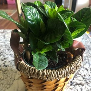 Meet your Posher, Nikki